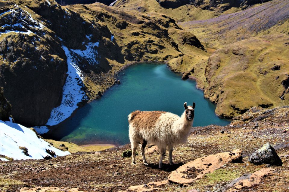 Cusco: 4-Day Lares Trek to Machu Picchu with Panoramic Train - Why the weaving co-ops, Quechua, and village time are more than “extras”