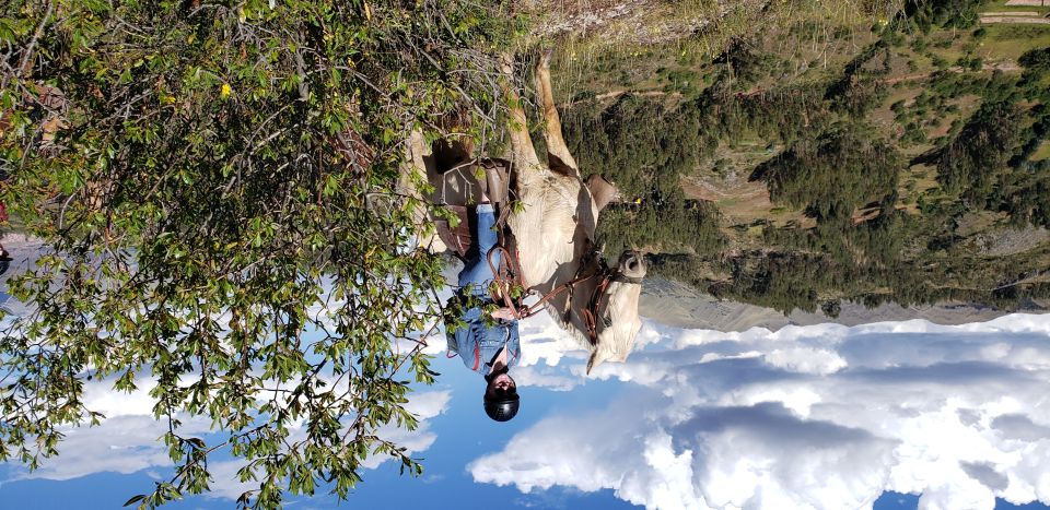 Cusco: Half-Day Horseback Riding at Devil's Balcony - Price and What $85 Buys You in Cusco