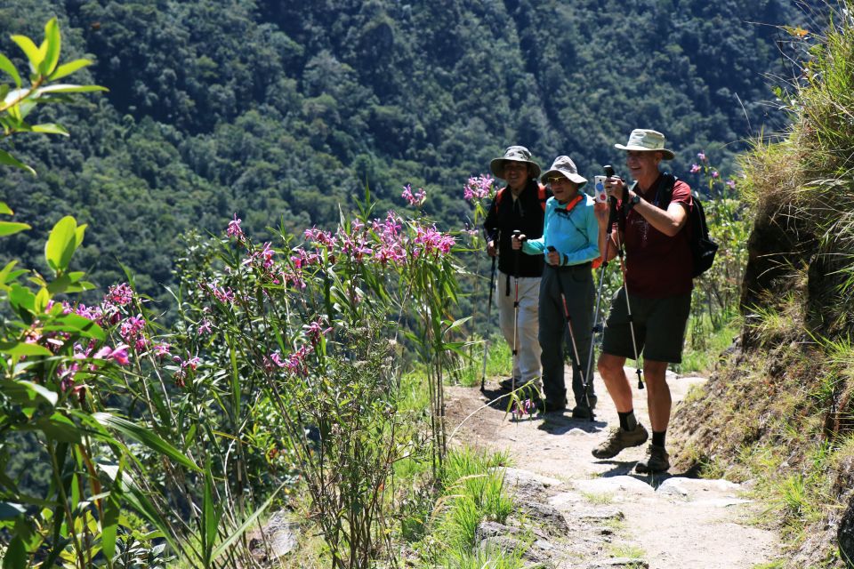 Cusco: Machu Picchu 2-Day Inca Trail with Panoramic Train - Day 1 Hike: Chachabamba to Wiñaywayna, Then the Sun Gate Finish
