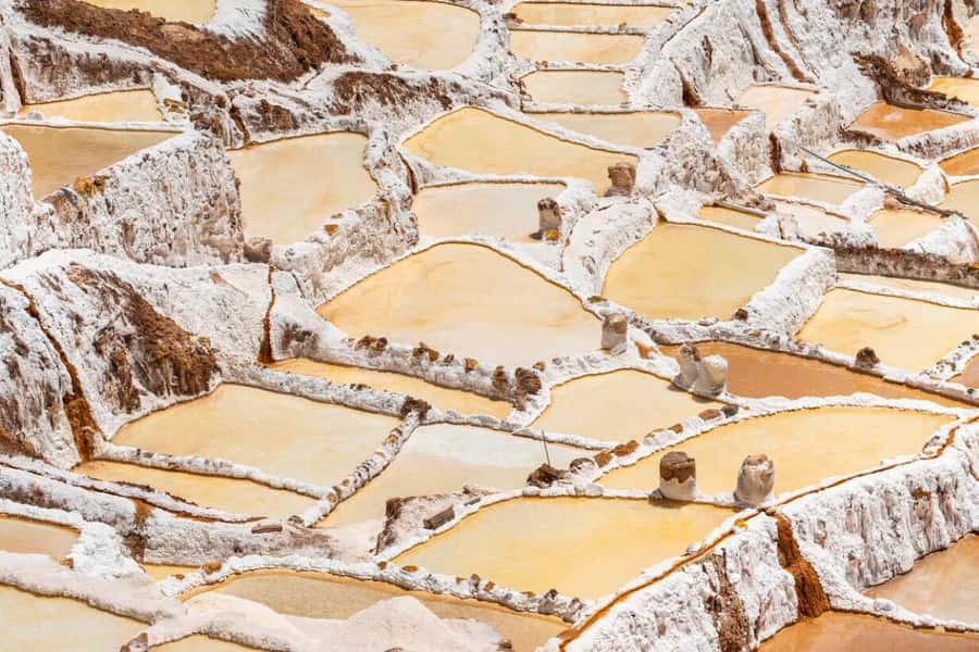 Cusco: Sacred Valley, Pisac, Ollantaytambo, Salt Mines Moray - Transport and tour style: how the schedule affects the experience
