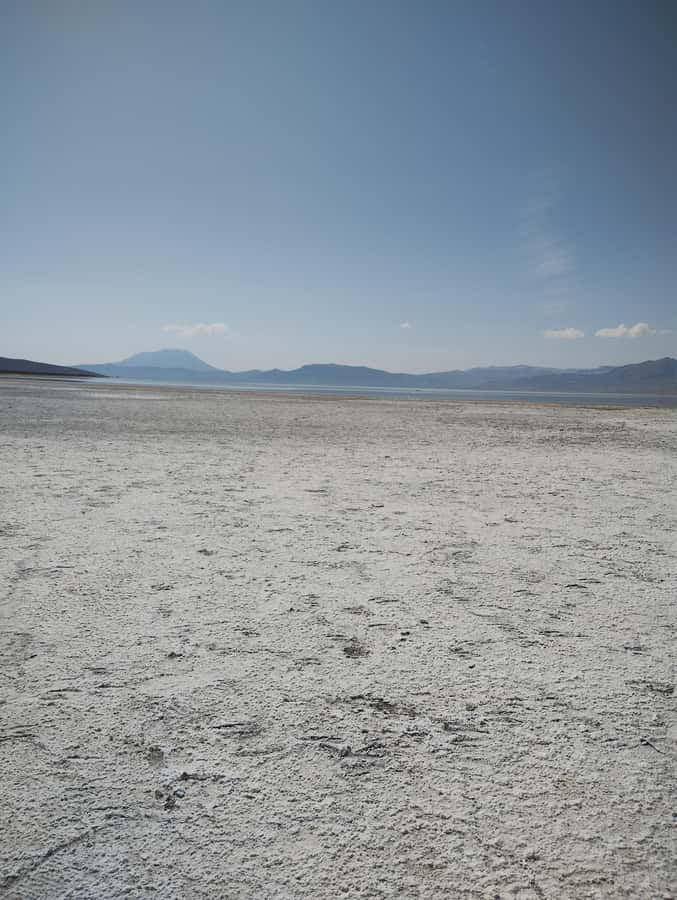 Excursion: Lagoon and National Reserve of Salinas and Aguada Blanca in Arequipa. - The Road to the Volcano Viewpoint: Chachani, Misti, and Pichupichu