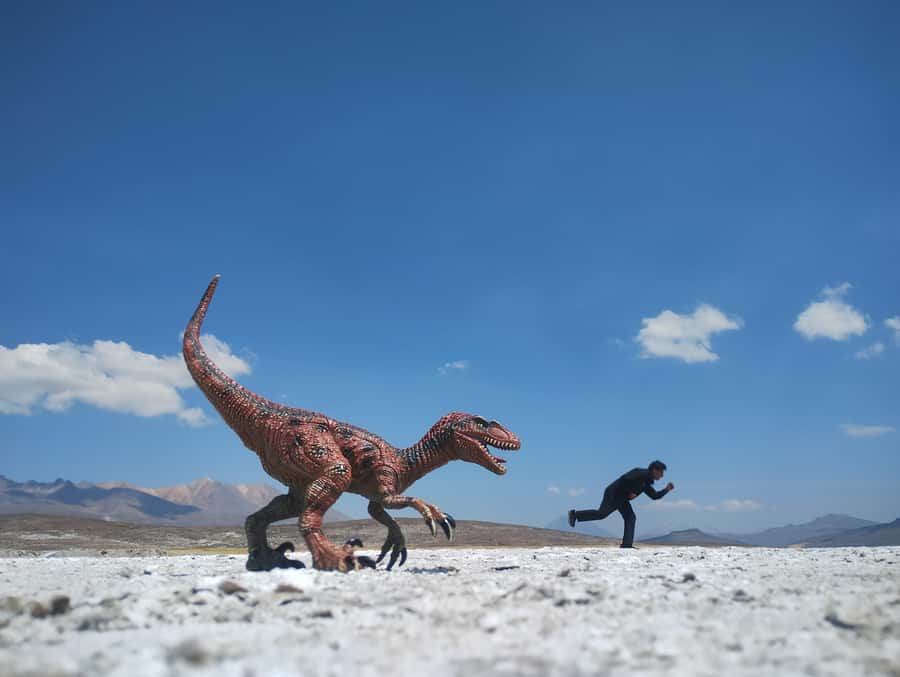 Excursion: Lagoon and National Reserve of Salinas and Aguada Blanca in Arequipa. - Chiguata Sunrise Stop: Andenerías, Photos, and a Quick Breakfast