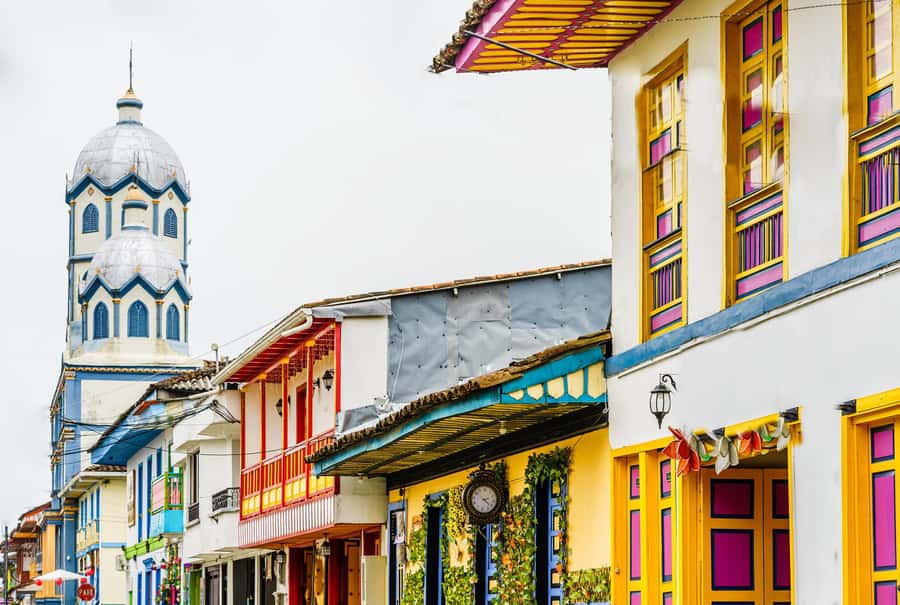 Filandia, Salento and Cocora Valley Private Tour - Key things you’ll notice on this tour
