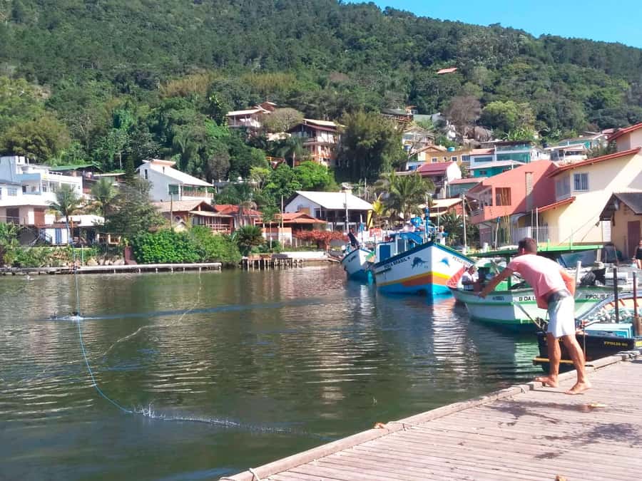 Florianópolis: Historical Center, Beach & Nature Tour - Hercílio Luz Bridge viewpoint: the panorama you’ll remember