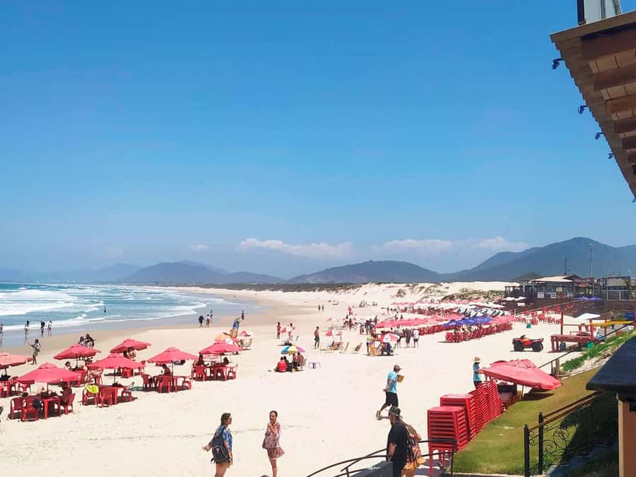Florianópolis: Historical Center, Beach & Nature Tour - Price and value: when $23 feels like a win