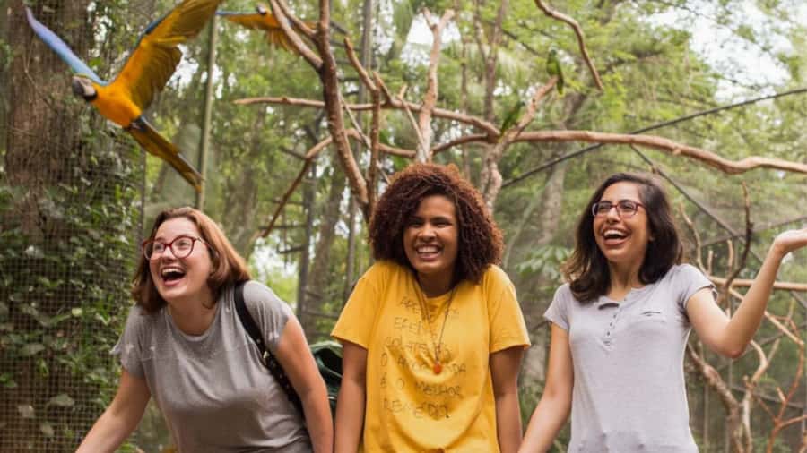 Foz do Iguaçu: Bird Park Tour with Tickets - The 2-hour guided walk: nurseries, bridges, and real jungle feel