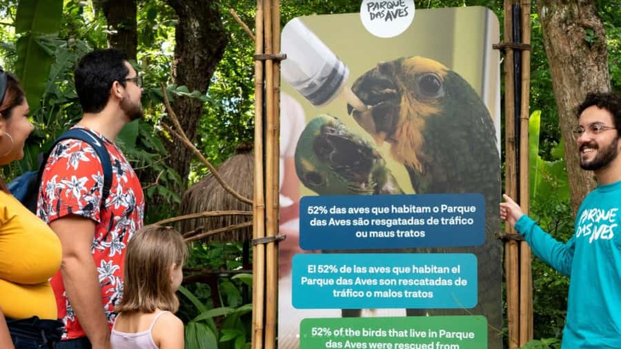 Foz do Iguaçu: Bird Park Tour with Tickets - Birds from Brazil and beyond: what you’ll actually see