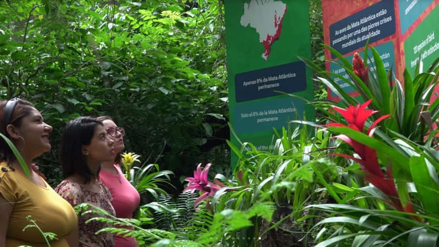 Foz do Iguaçu: Bird Park Tour with Tickets - The Flamingos restaurant view and timing your visit