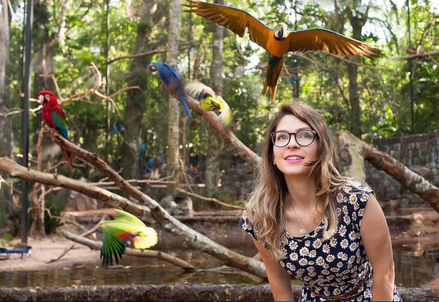 Foz do Iguaçu: Bird Park Tour with Tickets - Group size and guides: what you should expect from the experience