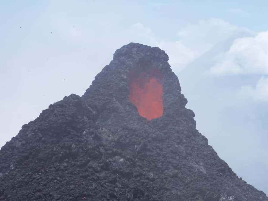 From Antigua: Pacaya Volcano Day Hike - The descent: dried lava down, greener ground back