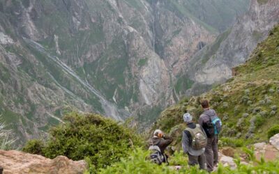 From Arequipa: 2-Day Colca Canyon Trekking Tour - Cruz del Cóndor: Condors, Photos, and a View That Actually Changes You