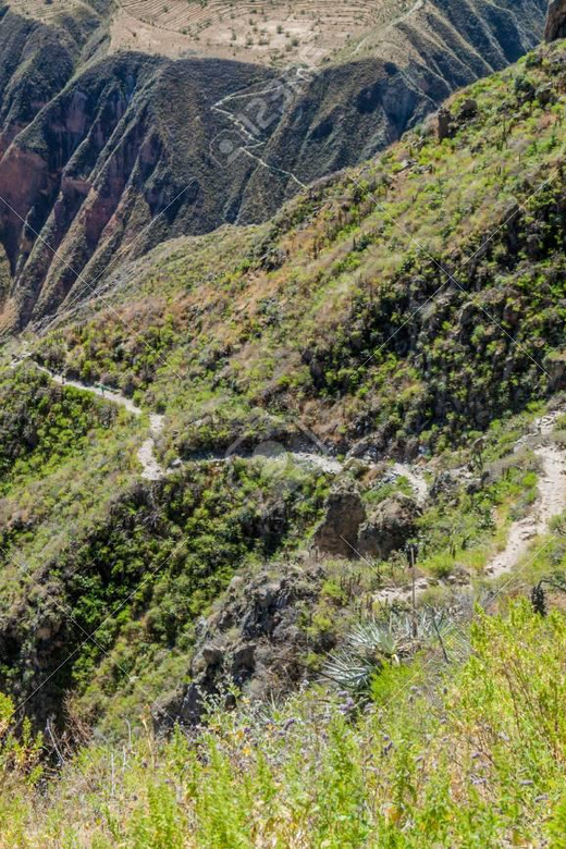 From Arequipa: 2-Day Colca Canyon Trekking Tour - What to Pack (and What to Do With Your Legs) for This Kind of Trek