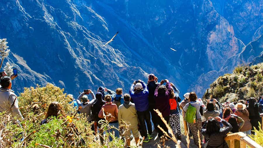 From Arequipa: Colca Canyon Day Trip with Transfer to Puno - Key highlights that matter