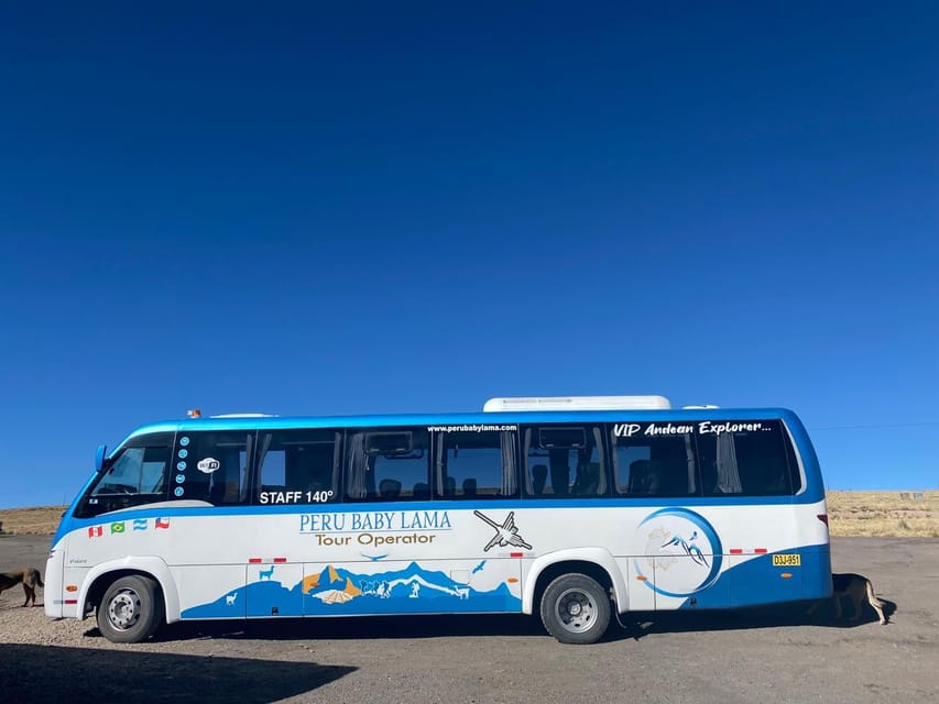 From Arequipa: Colca Canyon Day Trip with Transfer to Puno - Chivay stop: coffee, breakfast, and a culture pause