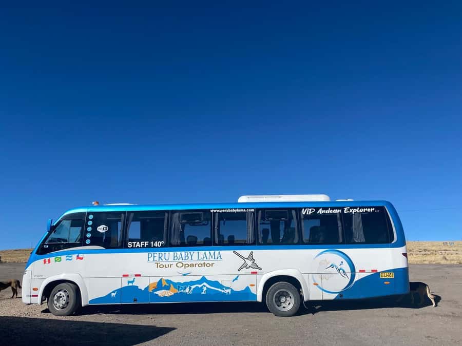 From Arequipa: Colca Canyon Day Trip with Transfer to Puno - Maca, Caylloma: terraces, llamas and alpacas, plus market time