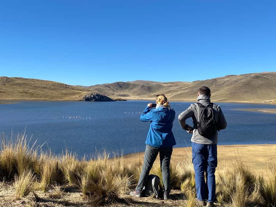 From Arequipa: Colca Canyon Day Trip with Transfer to Puno - Chacapi Hot Springs: the midday reset