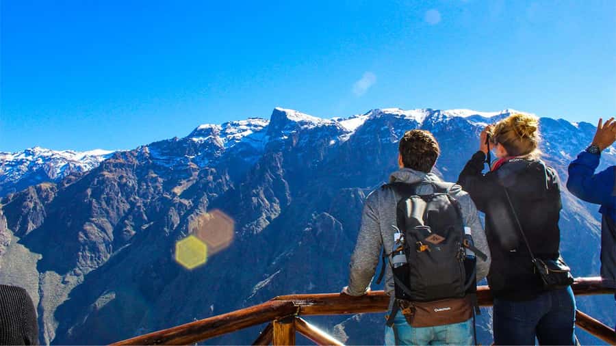From Arequipa: Colca Canyon Full-Day Guided Tour with Meals - The Colca Canyon edge: why Cruz del Cóndor is the heart of the trip
