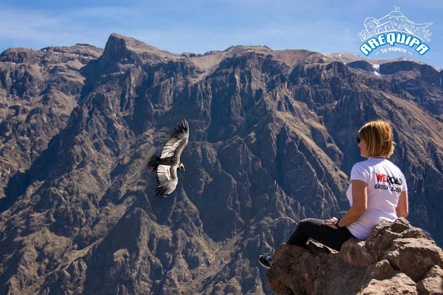 From Arequipa: Colca Valley & Thermal Baths Small-Group Trip - The viewpoint circuit: volcano air, canyon depth, and condor odds