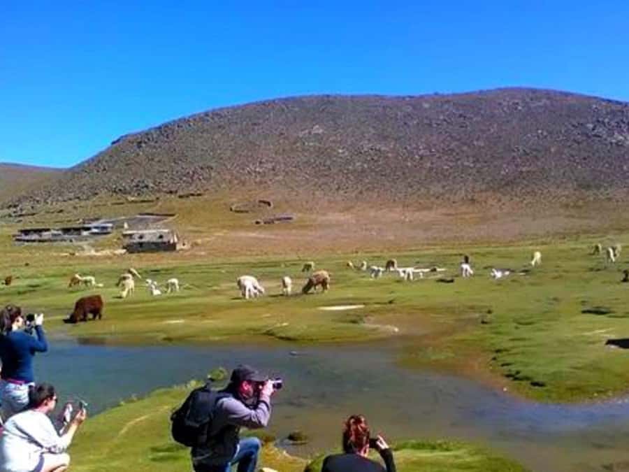 From Arequipa: Full Day Tour of Colca Canyon with Meals - Chacapi thermal baths: warm water as a mid-day reset