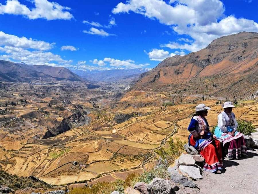 From Arequipa: Full Day Tour of Colca Canyon with Meals - Pampa Cañahuas for vicuñas: the best kind of surprise