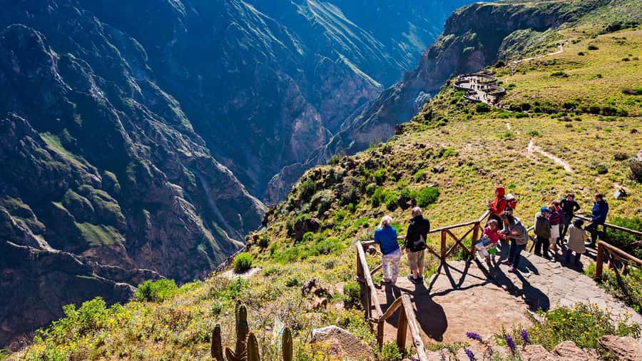 From Arequipa: Full Day Tour of Colca Canyon with Meals - Cruz del Cóndor: where the canyon becomes the main character