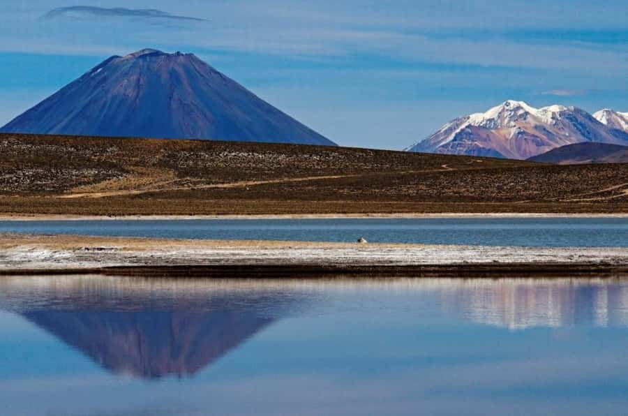 From Arequipa: Salinas Lagoon Full-Day Trip with Hot Springs - Chiguata main square: a real break for breakfast and people-watching