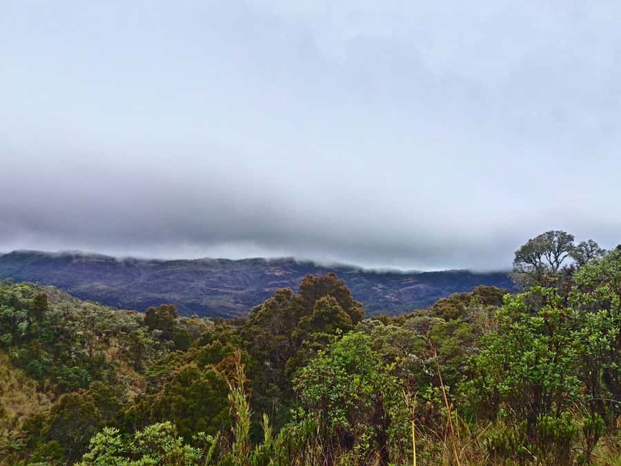 From Bogotá: Chingaza National Park Eco Tour - Key Highlights That Matter on This Chingaza Eco Tour