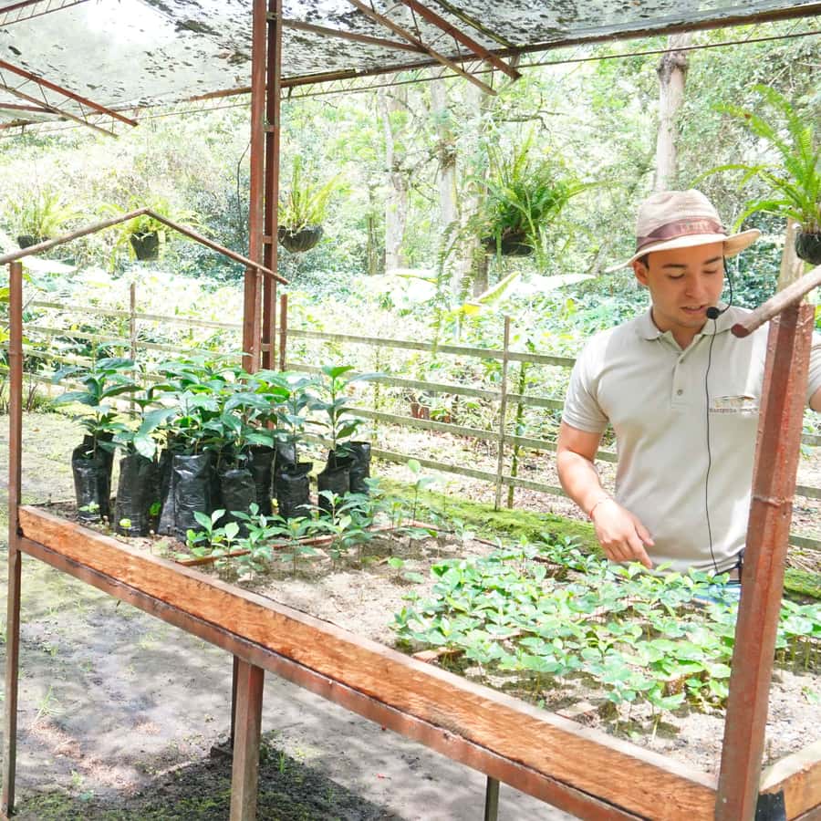 From Bogotá: Coffee Farm and Tequendama Falls Tour - Key things I’d prioritize on this tour