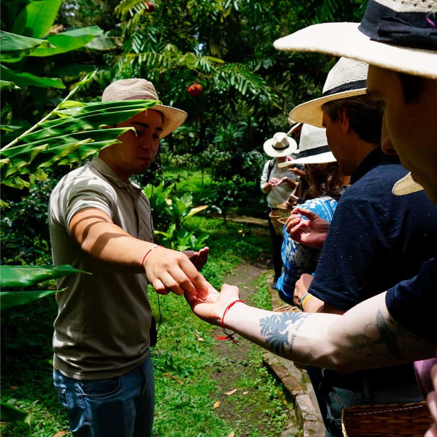 From Bogotá: Coffee Farm and Tequendama Falls Tour - The real story: how a long Bogotá day turns into two great stops