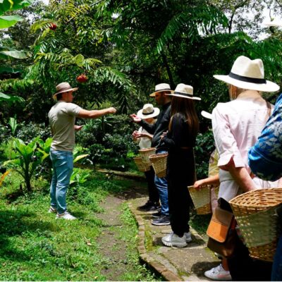 From Bogotá: Coffee Farm and Tequendama Falls Tour - Door-to-door from Bogotá: shared transfer and bilingual guiding