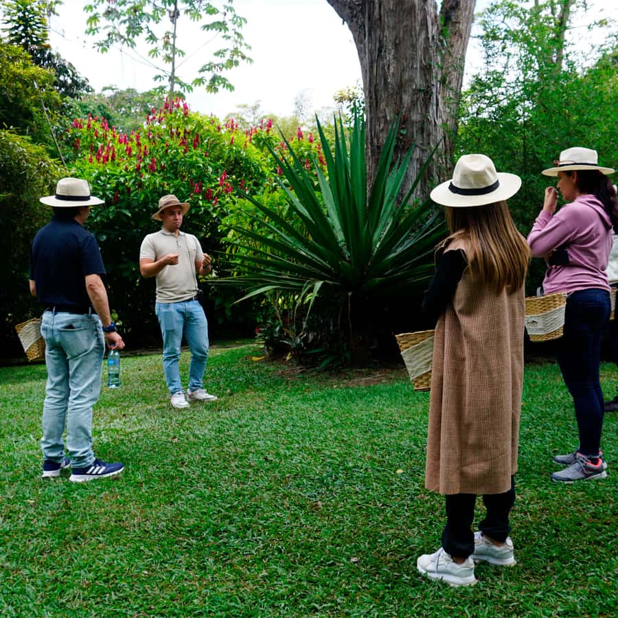 From Bogotá: Coffee Farm and Tequendama Falls Tour - Fusagasugá countryside time: why the ride matters here