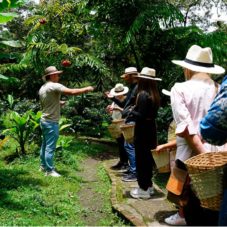 From Bogotá: Coffee Farm and Tequendama Falls Tour - Door-to-door from Bogotá: shared transfer and bilingual guiding