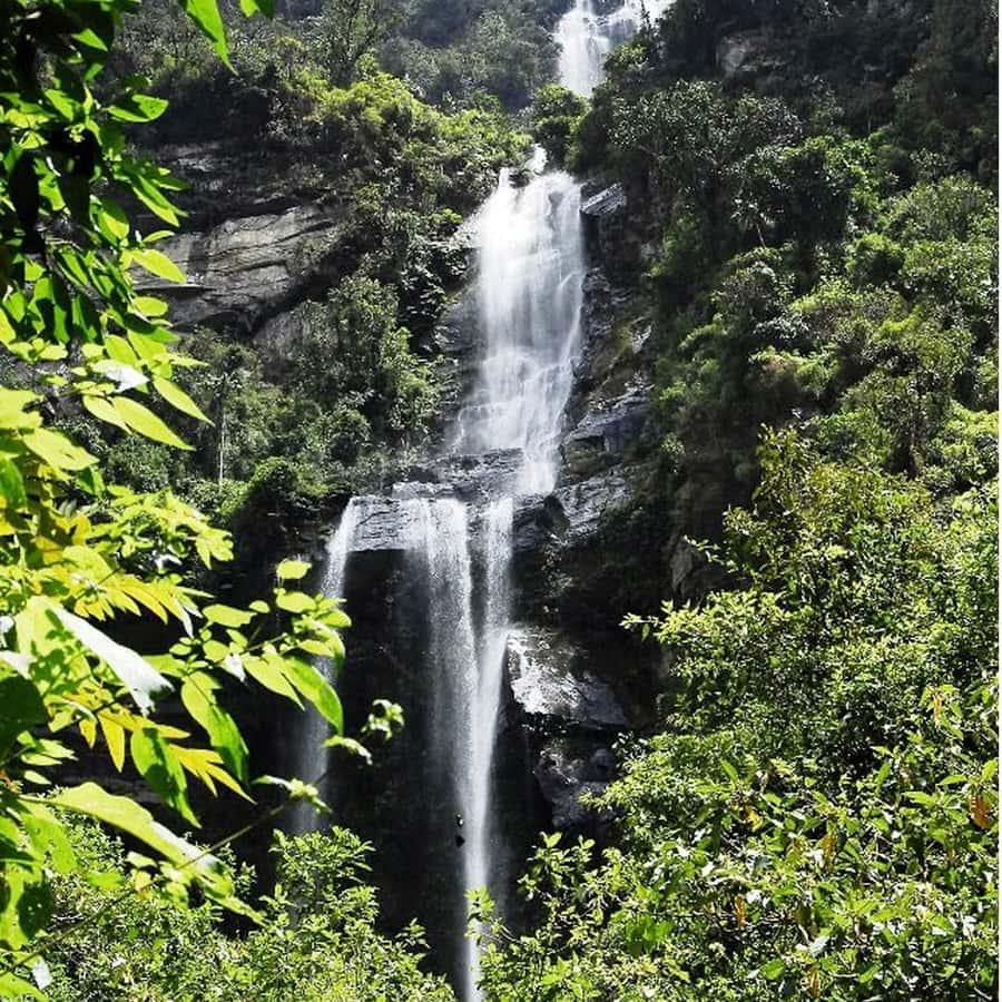 From Bogota: La Chorrera Waterfall Guided Hike - The ecological walk: what you’ll see on the way to La Chorrera