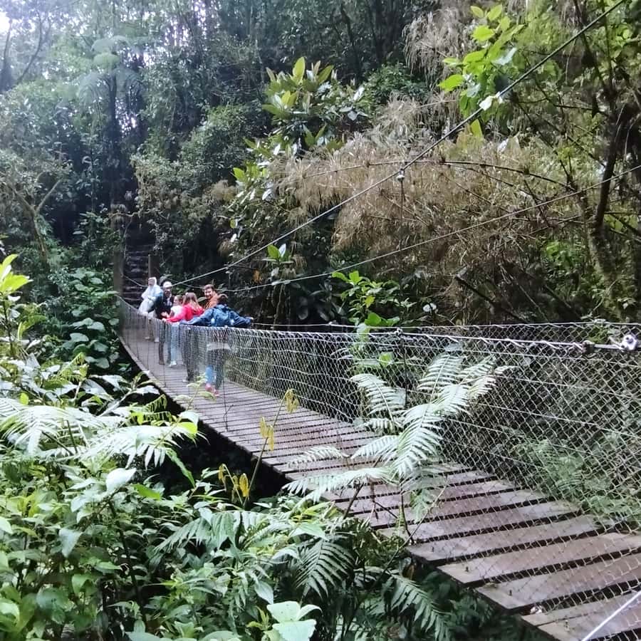 From Bogota: La Chorrera Waterfall Guided Hike - Price and value: is $97 worth it?