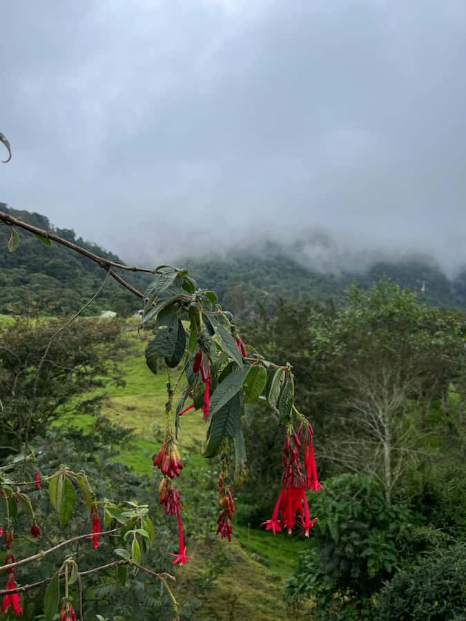 FROM BOGOTA: Tour to La Chorrera, Colombia's highest waterfall. - Why La Chorrera’s 590-Meter Drop Feels Like a Real Adventure