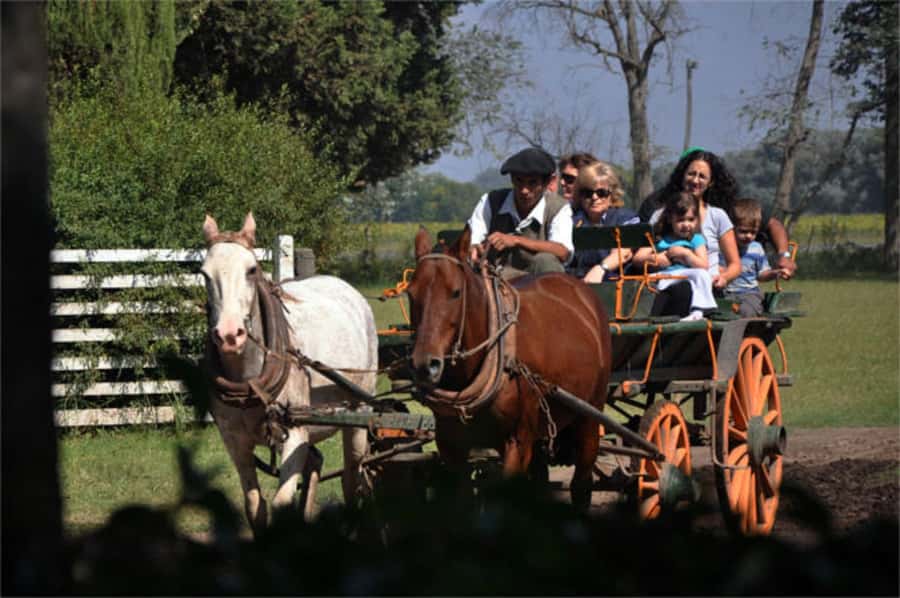 From Buenos Aires: Estancia Don Silvano Tour with Lunch. - Key highlights to know before you go