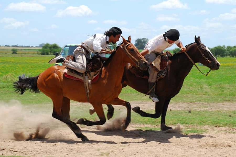 From Buenos Aires: Estancia Don Silvano Tour with Lunch. - Creole lunch at the center of the experience