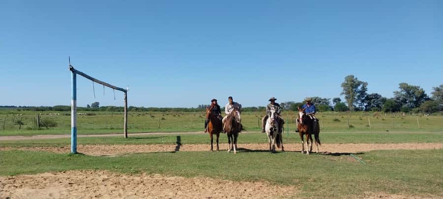 From Buenos Aires: Estancia Don Silvano Tour with Lunch. - Practical details that shape your day