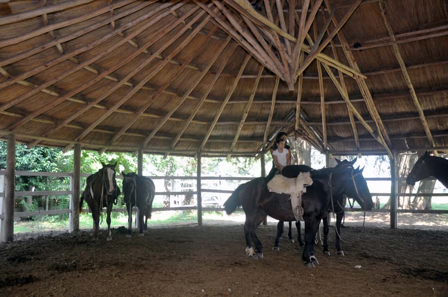 From Buenos Aires: Estancia Don Silvano Tour with Lunch. - Should you book Estancia Don Silvano with Lunch from Buenos Aires?