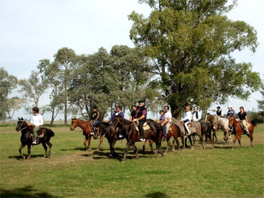 From Buenos Aires: Estancia Don Silvano Tour with Lunch. - Entering Estancia Don Silvano: the casco, the family, and what you’ll actually see