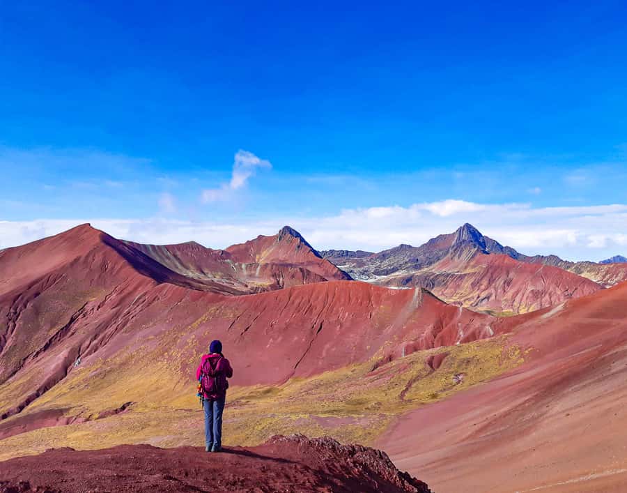 From Cusco: Full Day Rainbow Mountain + Red Valley | PRIVATE - The hike to Rainbow Mountain: slow steps, real effort, great payoff