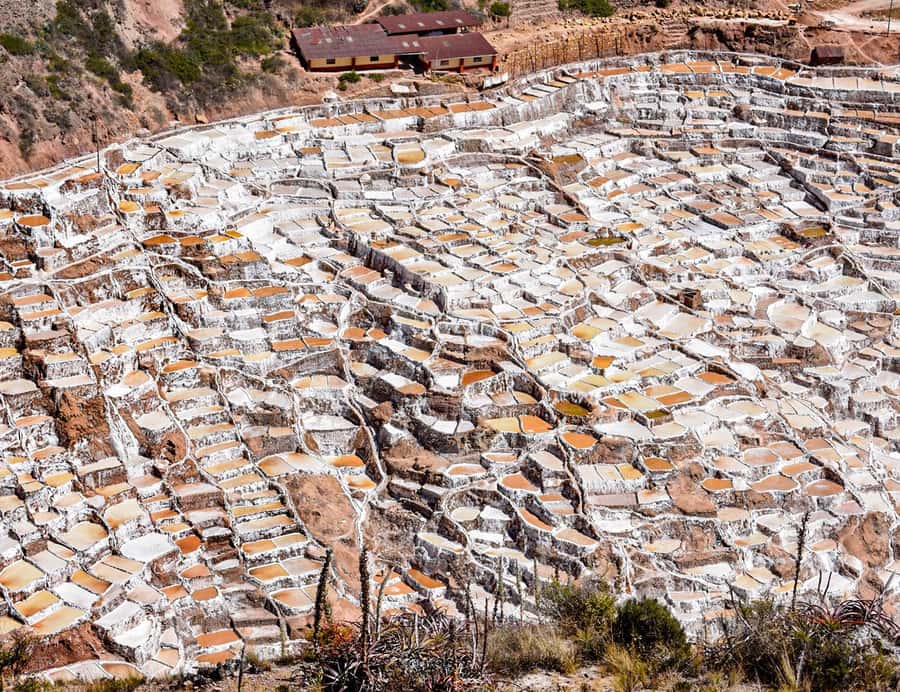 From Cusco: Moray, Maras Salt Mines & Chinchero Weavers Tour - Which Kind of Traveler Should Book This?