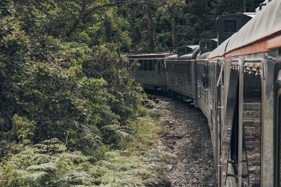 From Cusco: One-Day Tour to Machu Picchu - Getting back to Cusco: the train ride that closes the loop