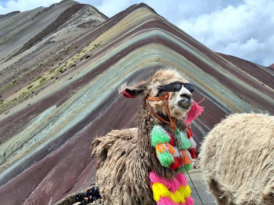 From cusco: Rainbow Mountain ATV Tour with meals - Gear checklist for a cold, high-altitude quad day