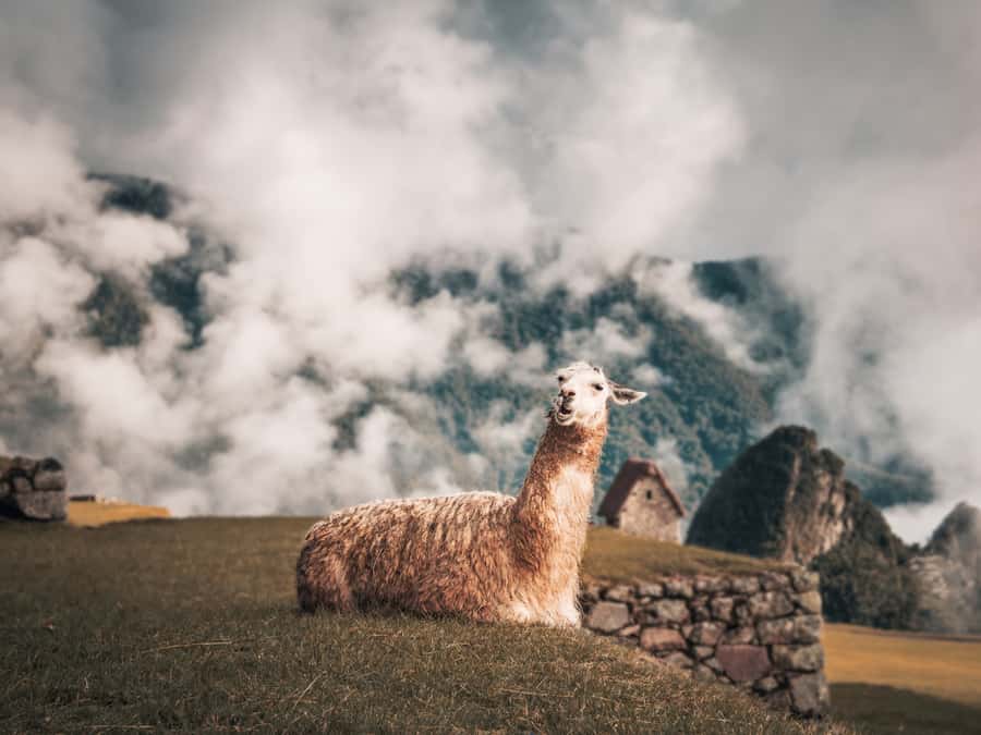 From Cusco: Sacred Valley & Machu Picchu 2-Day Tour by Train - Hotels and comfort: where expectations should be set