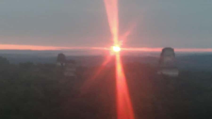 From Flores: Tikal Sunset Tour - Wildlife at Tikal: The bonus you shouldn’t count on, but will likely spot