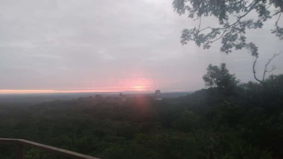 From Flores: Tikal Sunset Tour - Temple circuit with a real guide: From Gran Plaza to Palaces