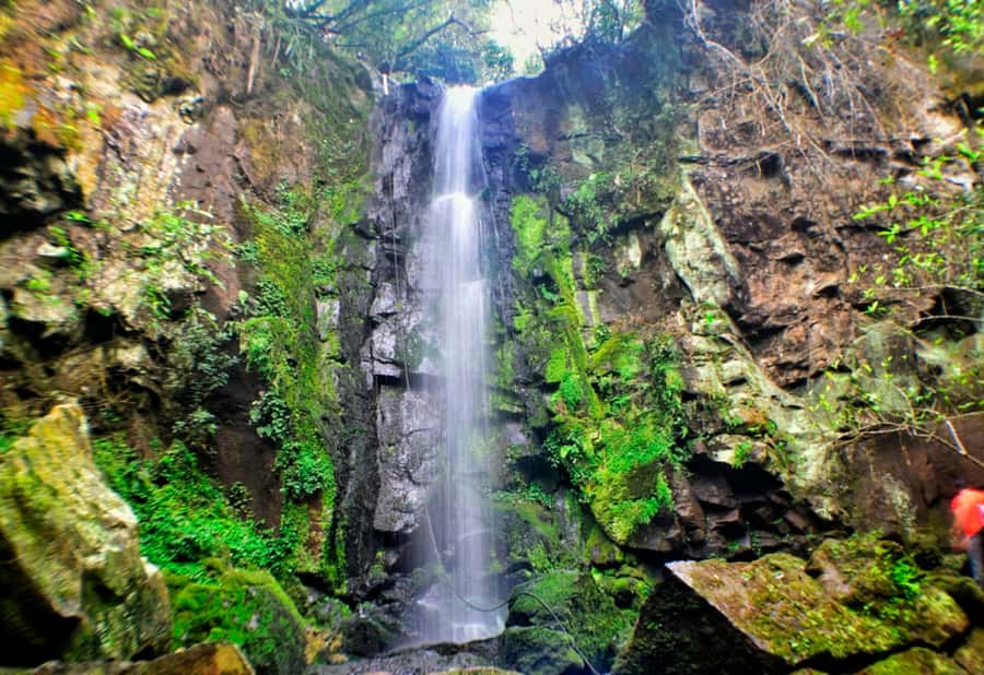 From Foz do Iguaçu: Secret Falls Adventure - The Trail and Water Stops: What You’ll Actually Do