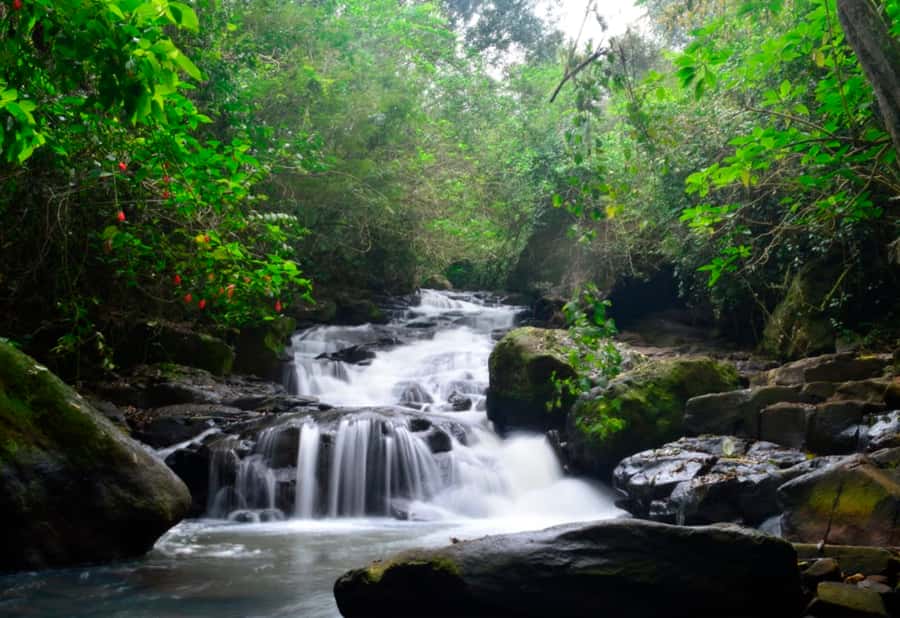 From Foz do Iguaçu: Secret Falls Adventure - Guides You Might Meet: What Good Instruction Looks Like Here