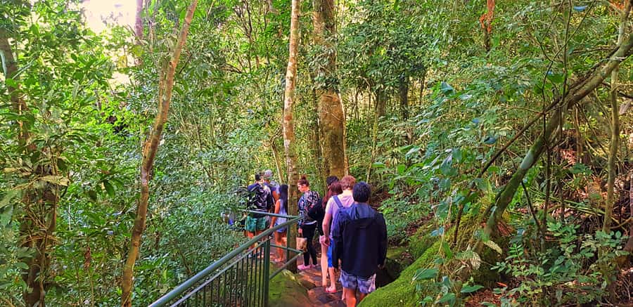 From Foz do Iguazu: Brazil Iguazu Falls & Macuco Safari Boat - Best Side of the Boat for Photos and Views